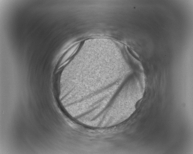 X0000065980005200603311917