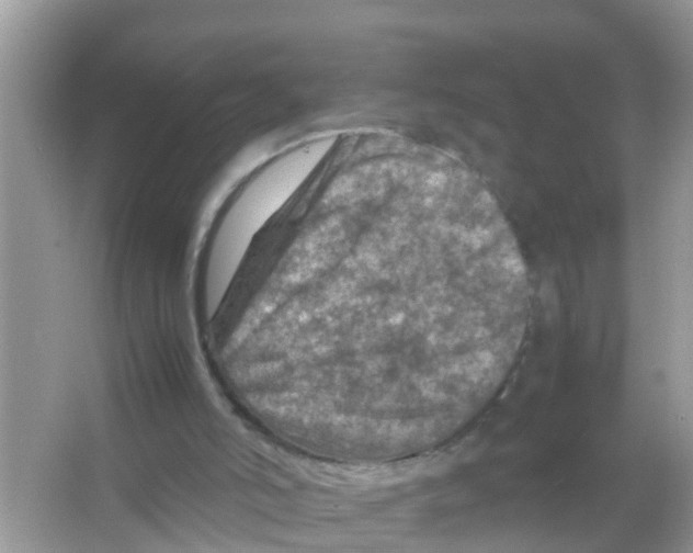 X0000065980006200603311917