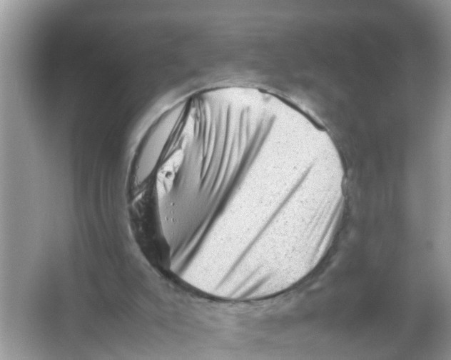 X0000065980007200603311917