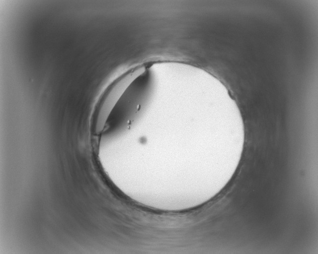 X0000065980008200603311917