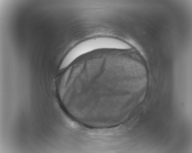 X0000065980009200603311917