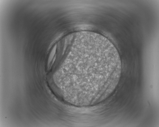 X0000065980010200603311917