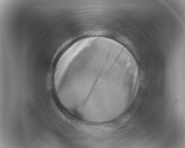 X0000065980012200603311917