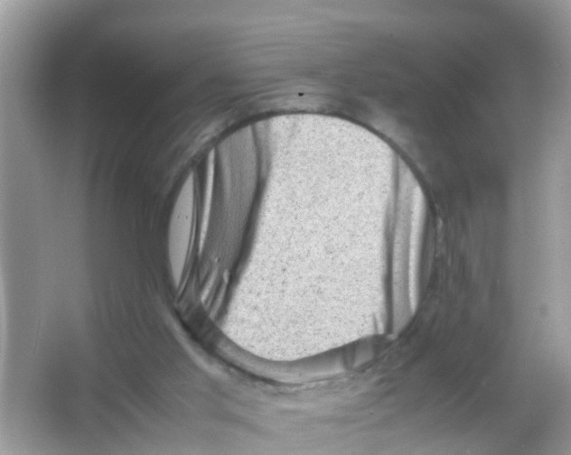 X0000065980013200603311917