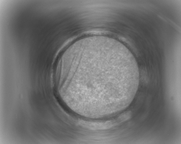 X0000065980016200603311917