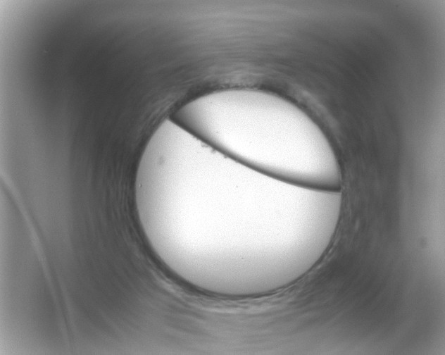 X0000065980017200603311917