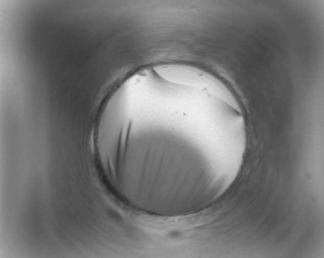 X0000065980019200603311917