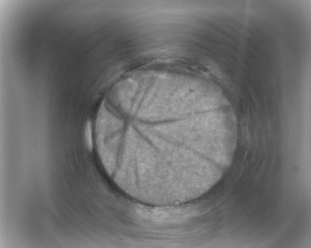 X0000065980022200603311916