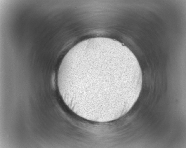 X0000065980024200603311916