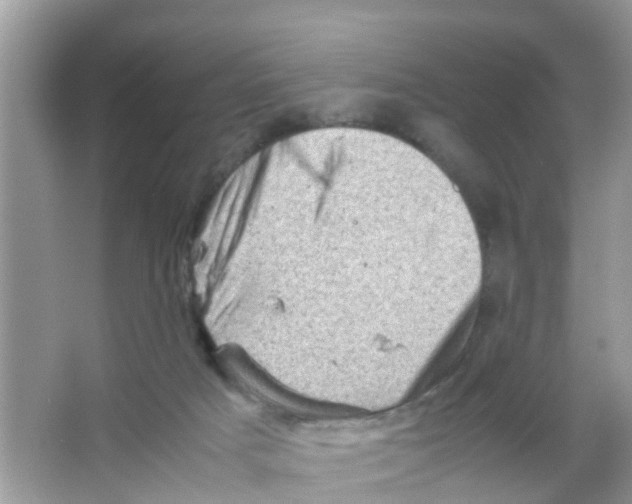 X0000065980025200603311916