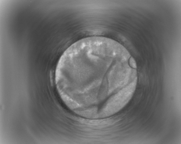 X0000065980026200603311916