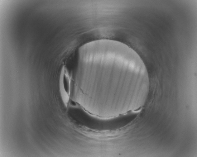 X0000065980027200603311916