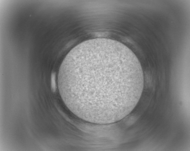 X0000065980028200603311916