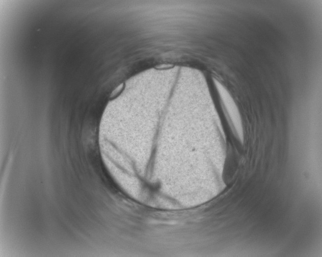 X0000065980033200603311916