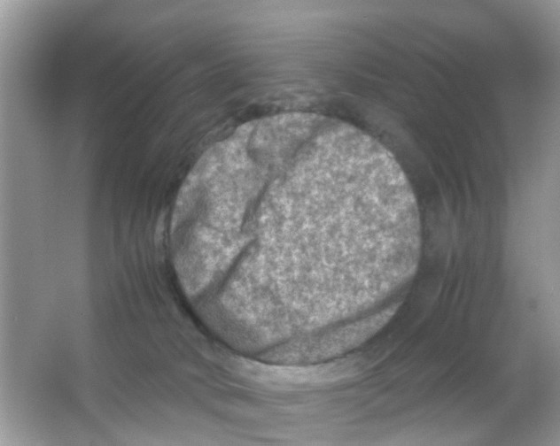 X0000065980034200603311916