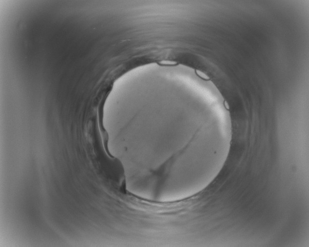 X0000065980035200603311916