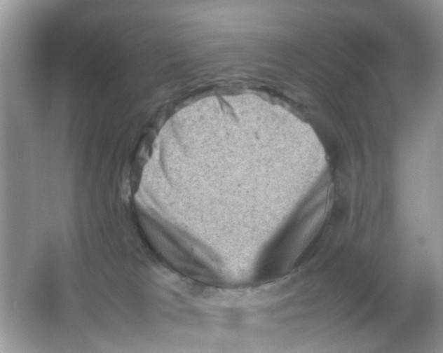 X0000065980037200603311916