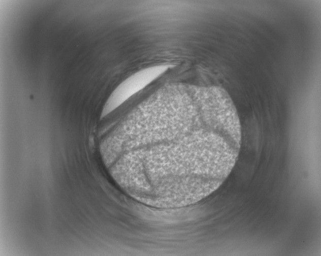 X0000065980038200603311916