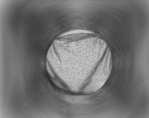 X0000065980040200603311916