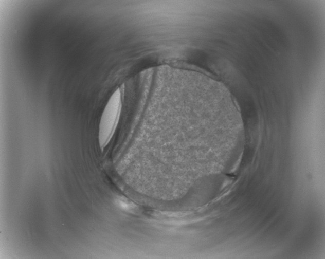 X0000065980041200603311916