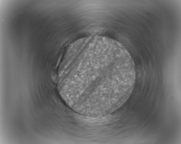 X0000065980042200603311916