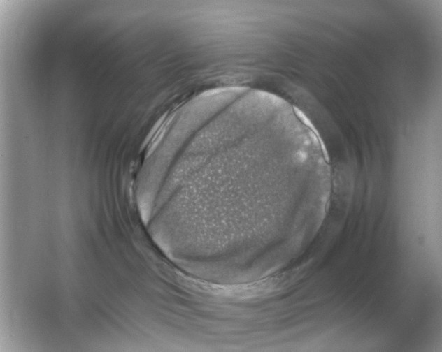 X0000065980046200603311916