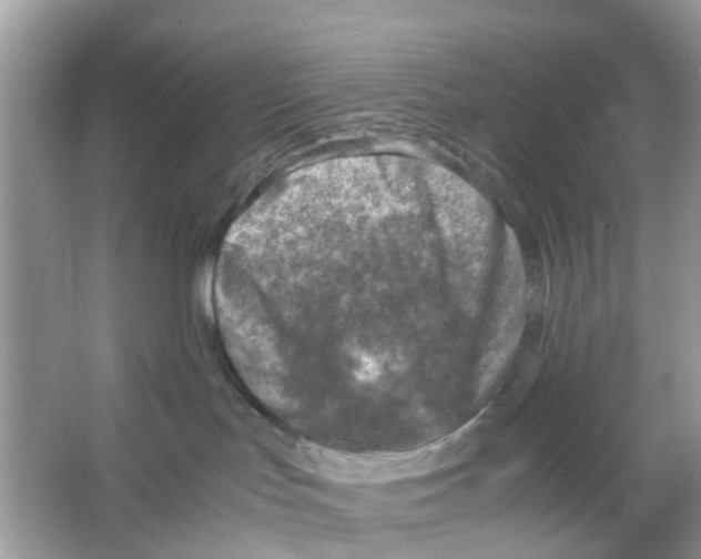 X0000065980047200603311916