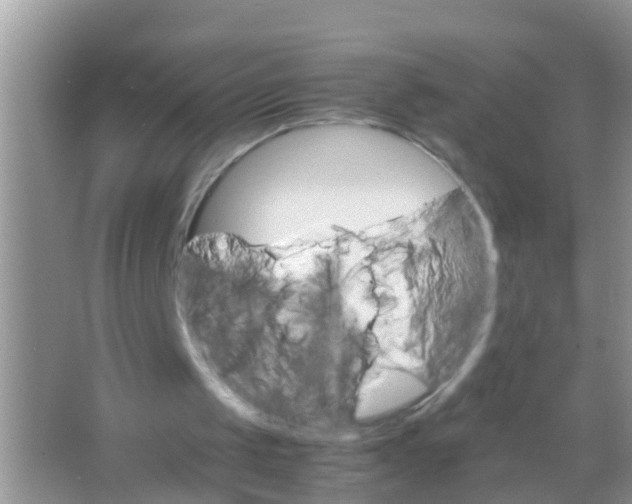 X0000065980049200603311915