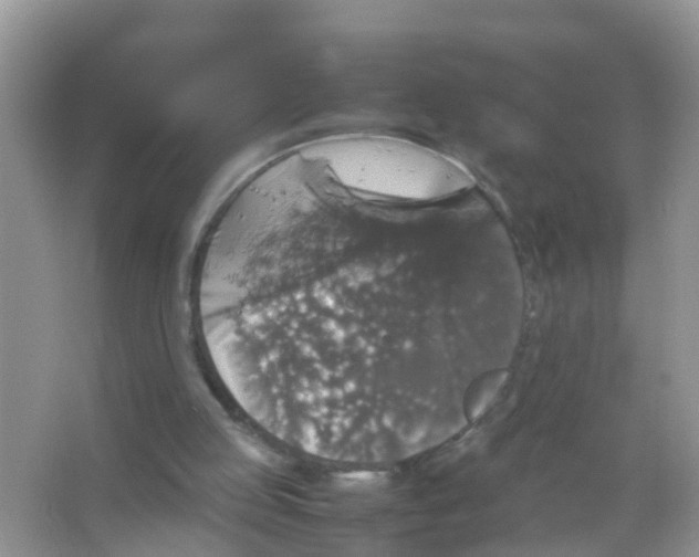 X0000065980053200603311915