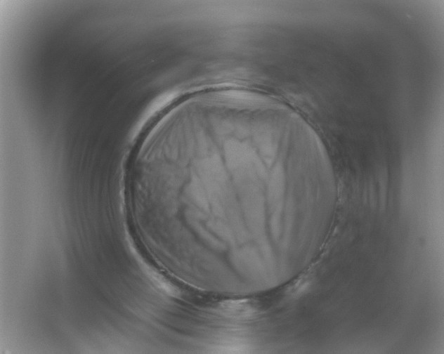 X0000065980054200603311915