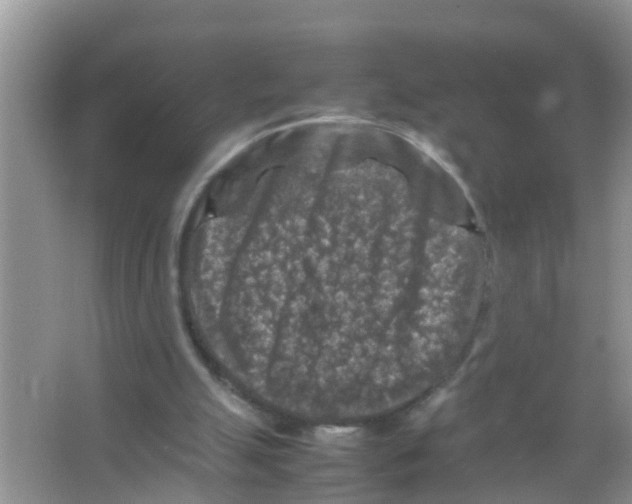 X0000065980055200603311915