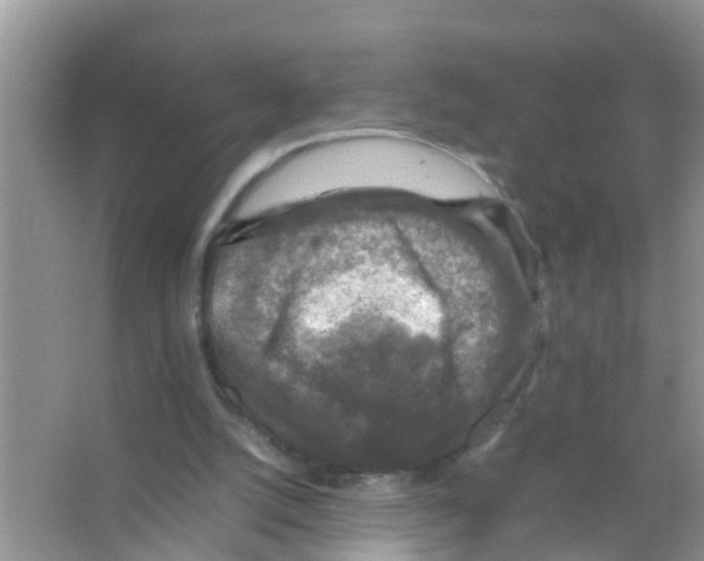 X0000065980056200603311915