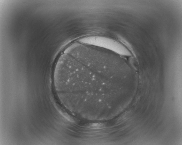 X0000065980059200603311915