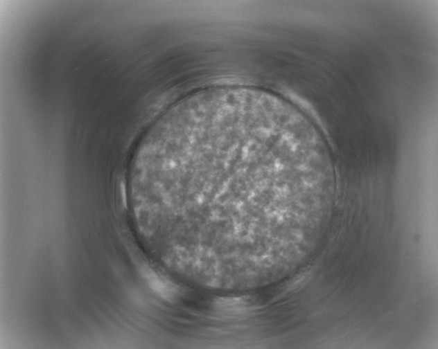 X0000065980061200603311915