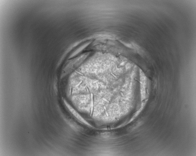 X0000065980064200603311915