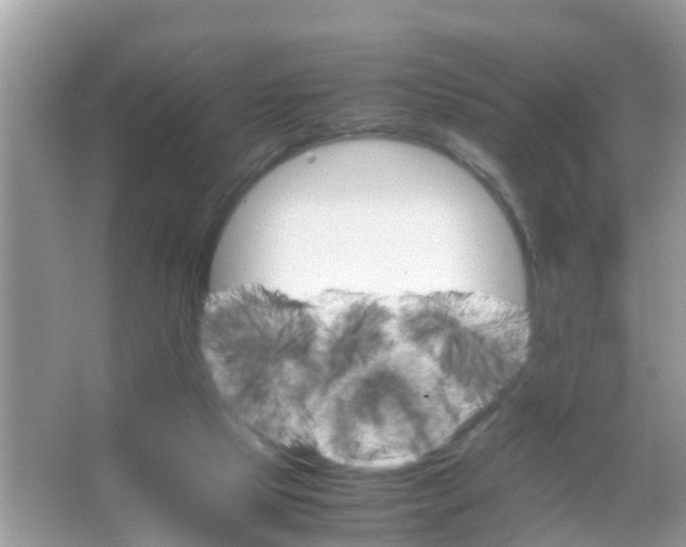 X0000065980065200603311915