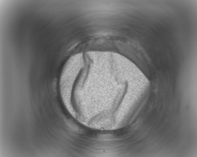 X0000065980066200603311916