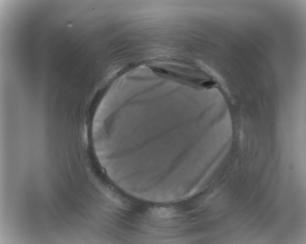 X0000065980067200603311916