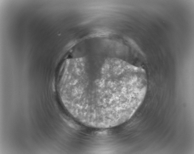 X0000065980068200603311916