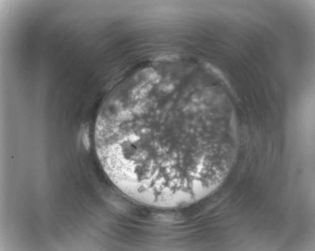 X0000065980069200603311916