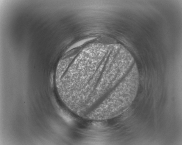 X0000065980070200603311916