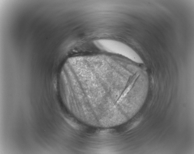 X0000065980072200603311916