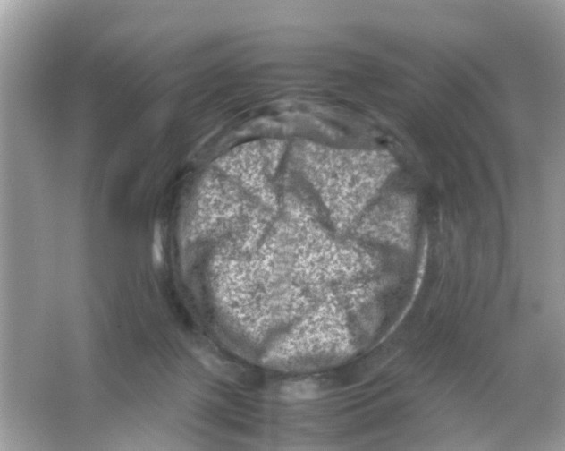 X0000065980075200603311916