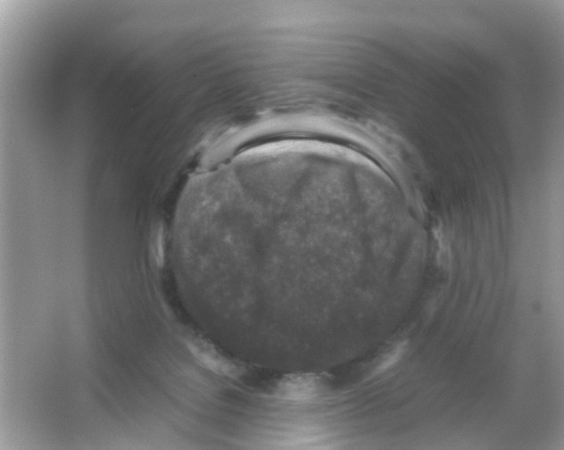 X0000065980076200603311916