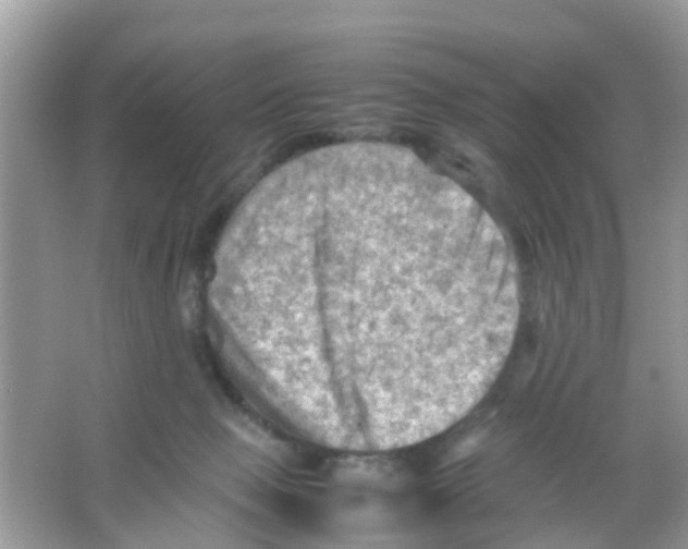 X0000065980077200603311916