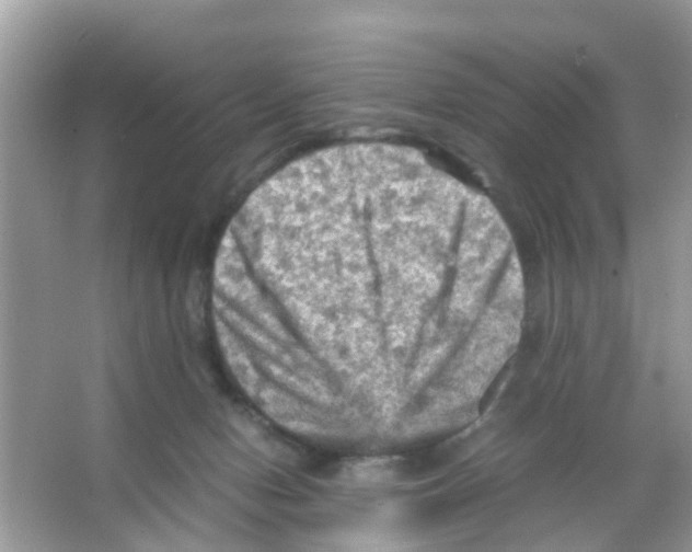 X0000065980078200603311916