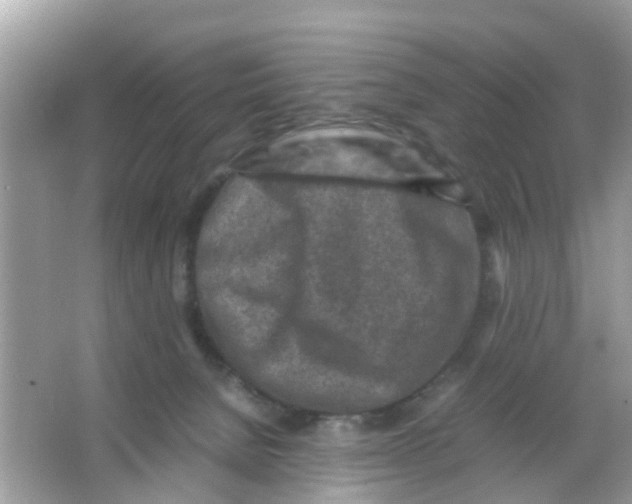 X0000065980080200603311916