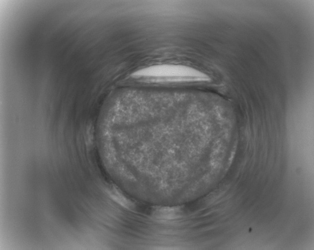 X0000065980081200603311916