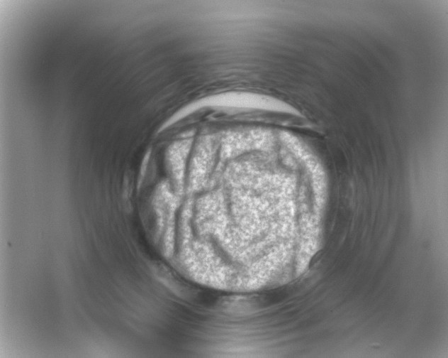 X0000065980082200603311916