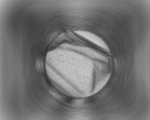 X0000065980084200603311916